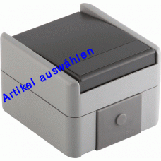 TEM Schalter 10A 250V IP44 grau
