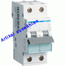 Hager LS-Schutzschalter 2-polig B-Char