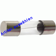 Siba G-Sicherung träge 5x20mm 250V L träge