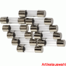 Siba G-Sicherung träge 5x20mm 250V L träge (10 Stk)