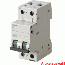 Siemens LS-Schutzschalter 2-polig B-Char