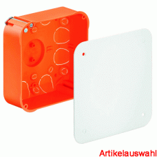 Kaiser Hohlwand Verbindungskasten mit Deckel m. Geräteschrauben