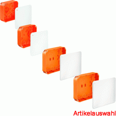 Kaiser Hohlwand Verbindungskasten mit Deckel m. Geräteschrauben