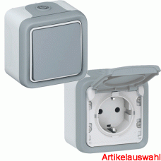 Legrand Aufputz Schalter & Steckdose Plexo IP55  grau