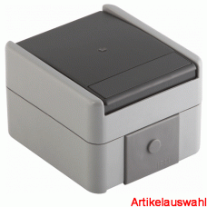 TEM Schalter 10A 250V IP44 grau