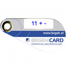 BEGEH Programmiercard´s für Gruppe 11 P100P11