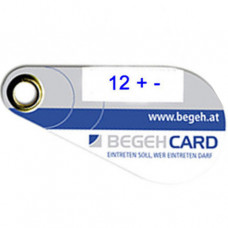 BEGEH Programmiercard´s für Gruppe 12 P100P12