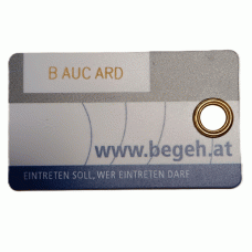 BEGEH Baucard  P100BC