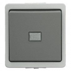 Presto-Vedder Feuchtraum Taster Schliesser mit Symbol AP 9390