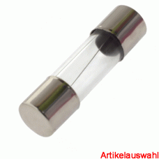 Siba G-Sicherung träge 5x20mm 250V L träge
