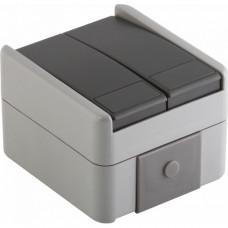 TEM Aus/Wechselschalter Doppelt IP44 10A 250V grau